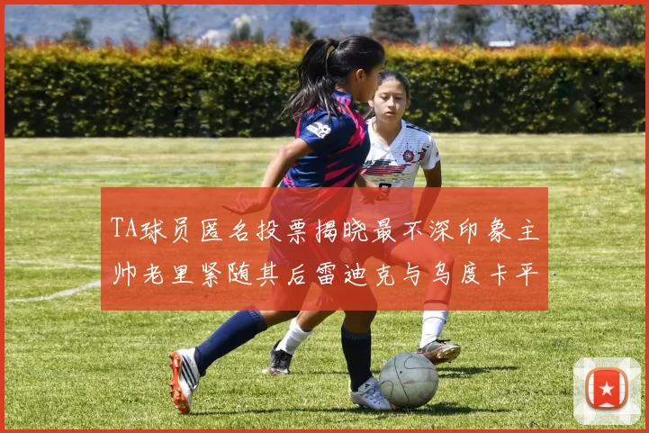 TA球员匿名投票揭晓最不深印象主帅老里紧随其后雷迪克与乌度卡平分秋色